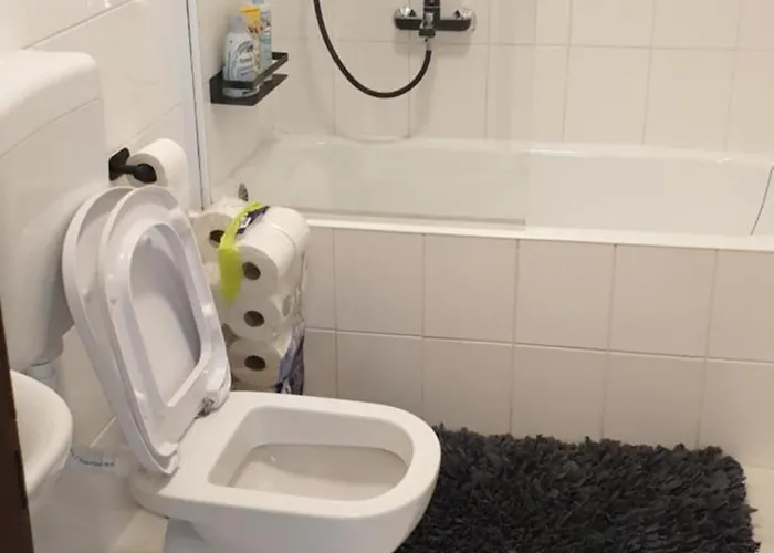 Apartman Romantic Rohreggerova *